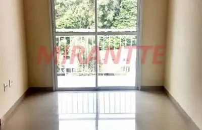 Apartamento de 60m² com 3 quartos em horto florestal
