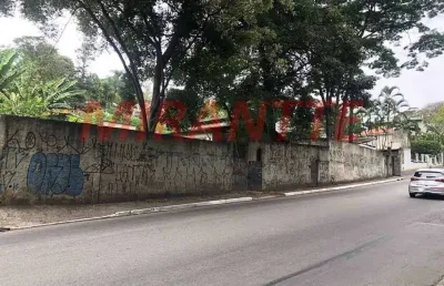Terreno à venda na Rua Luís Carlos Gentile de Laet, Horto Florestal, São Paulo