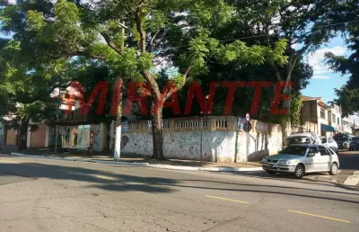 Terreno à venda na Rua Caçador, Vila Guilherme, São Paulo