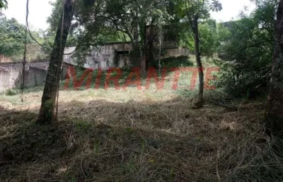 Terreno à venda na Rua Pedra Bonita, Horto Florestal, São Paulo