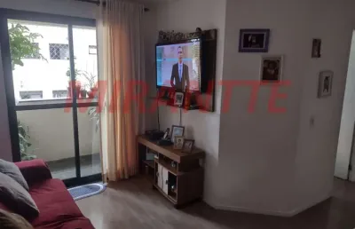 Apartamento de 72m² com 3 quartos em horto florestal