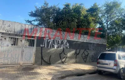 Casa terrea de 180m² com 3 quartos em parada inglesa