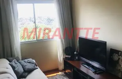 Apartamento de 52m² com 2 quartos em lauzane paulista