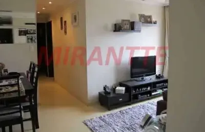 Apartamento com 2 quartos à venda na Rua das Gamboas, Vila Mazzei, São Paulo