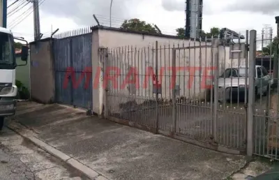 Terreno à venda na Rua Antônio Armando, Vila Bonilha, São Paulo