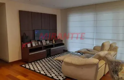 Apartamento de 136m² com 3 quartos em horto florestal