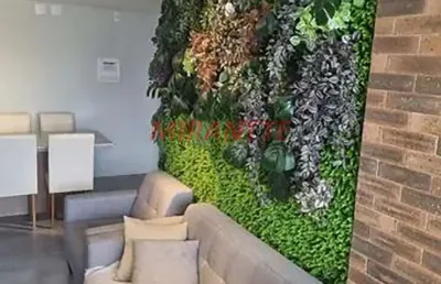 Apartamento com 3 quartos à venda na Rua Cônego Ladeira, Tucuruvi, São Paulo