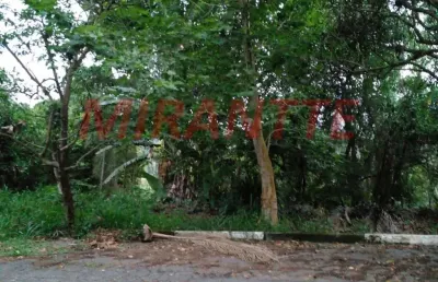 Terreno em condomínio fechado à venda na Rua das Figueiras, Serra da Cantareira, São Paulo