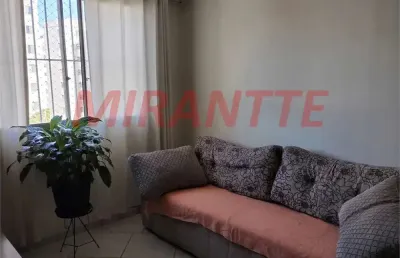 Apartamento de 63m² com 2 quartos em lauzane paulista