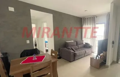 Apartamento de 64m² com 2 quartos em parada inglesa