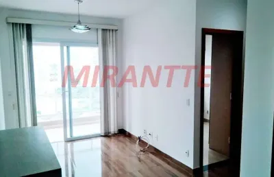 Apartamento de 54m² com 2 quartos em lauzane paulista