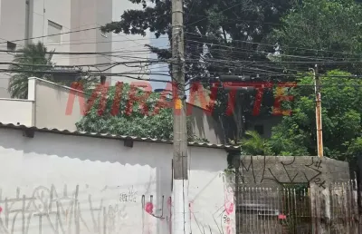 Terreno à venda na Rua Cambará, Vila Bertioga, São Paulo