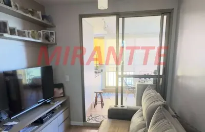 Apartamento de 64m² com 2 quartos em jardim paraiso