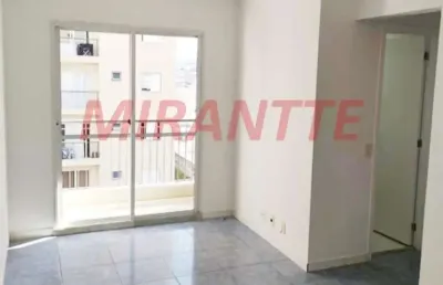Apartamento de 50m² com 2 quartos em lauzane paulista