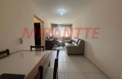 Apartamento de 59m² com 2 quartos em casa verde média