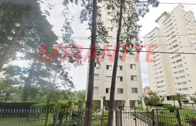 Apartamento de 63m² com 2 quartos em jardim paraiso