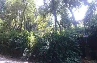 Terreno à venda na Rua Mateus Garcia, Horto Florestal, São Paulo