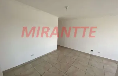Apartamento de 64m² com 3 quartos em horto florestal