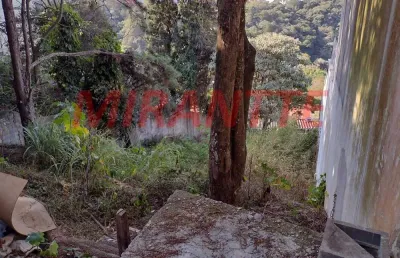Terreno à venda na Avenida Nova Cantareira, Tucuruvi, São Paulo