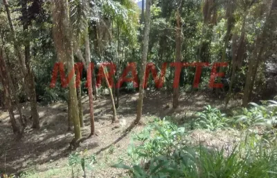 Terreno à venda na Avenida Av Dr. Arthur De Andrade Filho, Serra da Cantareira, Mairiporã