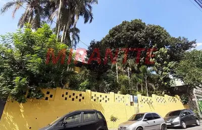 Terreno à venda na Rua Elza Guimarães, Vila Amália, São Paulo