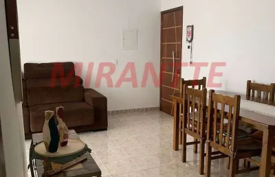 Apartamento de 67m² com 3 quartos em horto florestal