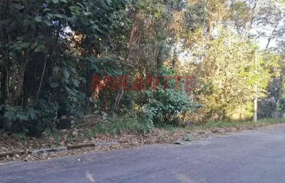 Terreno em condomínio fechado à venda na Rua Dos Salgueiros, Serra da Cantareira, Mairiporã