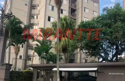 Apartamento de 70m² com 3 quartos em vila aurora (zona norte)