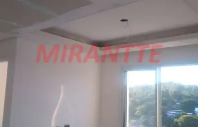 Apartamento de 40m² com 2 quartos em jardim adelfiore