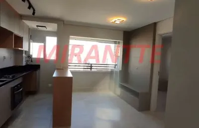 Apartamento de 40m² com 2 quartos em vila pauliceia