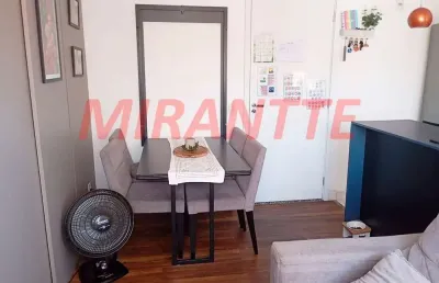Apartamento de 42m² com 2 quartos em santa teresinha