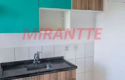 Apartamento de 48m² com 2 quartos em residencial santa giovana