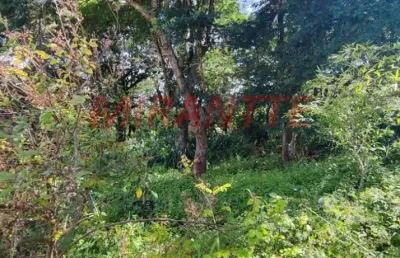 Terreno à venda na Rua Coronel Agostinho da Fonseca, Horto Florestal, São Paulo