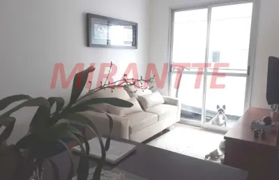 Apartamento com 3 quartos à venda na Rua Doutor Gomes Ferraz, Pirituba, São Paulo