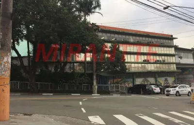 Barracão / Galpão / Depósito à venda na Rua São João Clímaco, São João Climaco, São Paulo