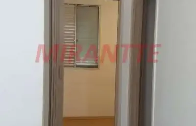 Apartamento de 49m² com 2 quartos em casa verde alta