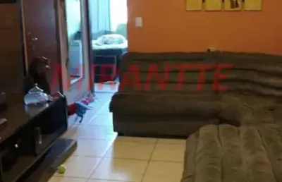 Apartamento com 3 quartos à venda na Rua Sebastião Pereira, Vila Buarque, São Paulo
