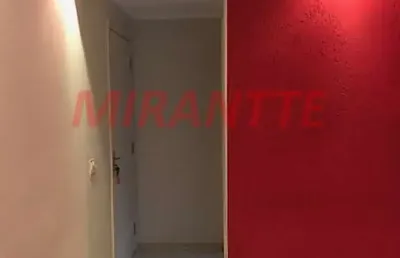 Apartamento de 50m² com 2 quartos em parque novo mundo
