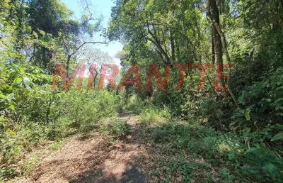 Terreno em condomínio fechado à venda na Rua Palmas Do Sul, Serra da Cantareira, São Paulo