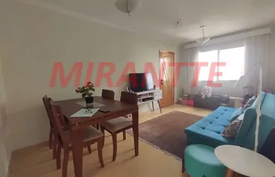 Apartamento de 50m² com 2 quartos em santa terezinha
