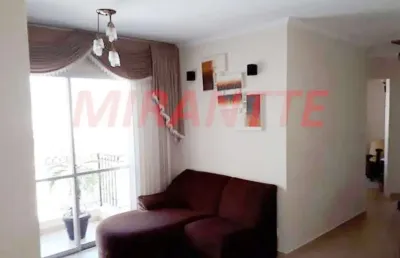 Apartamento de 0.72m² com 3 quartos em santa terezinha