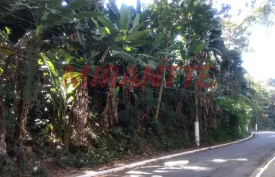 Terreno à venda na Avenida Nova Cantareira, Vila Albertina, São Paulo