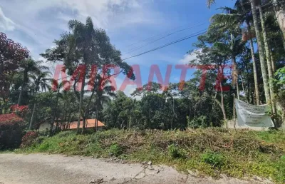 Terreno à venda na Alameda Bélgica, Serra da Cantareira, Mairiporã