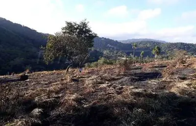 Terreno à venda na Est. Municipal Laerte Guerra De Aguiar, Serra da Cantareira, São Paulo