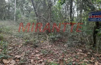 Terreno à venda na Rua Gardenias, Serra da Cantareira, São Paulo