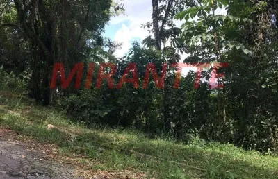 Terreno em condomínio fechado à venda na Alameda Flamboyants, Serra da Cantareira, Mairiporã