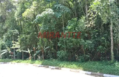 Terreno em condomínio fechado à venda na Alameda Parque Valinhos, Serra da Cantareira, Mairiporã