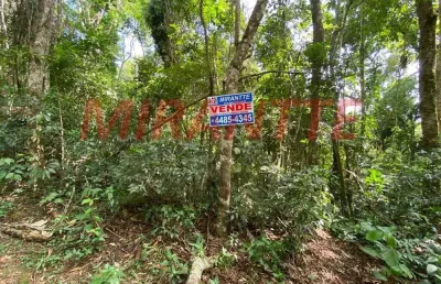 Terreno à venda na Rua Dos Salgueiros, Serra da Cantareira, Mairiporã