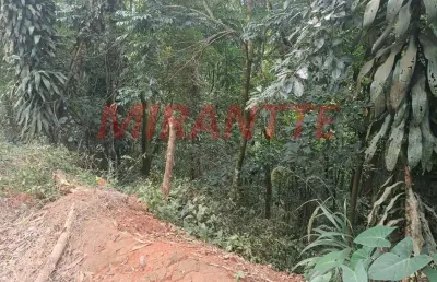 Terreno à venda na Rua Jandyra Cardoso Da Silva, Jardim Samambaia, Mairiporã