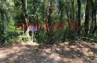 Terreno à venda na Rua Dos Flamboyans, Caraguatá, Mairiporã